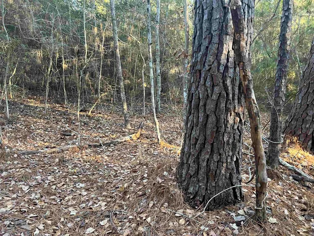 $6,000 | 51 Inglewood Drive, Brookeland, TX 75931