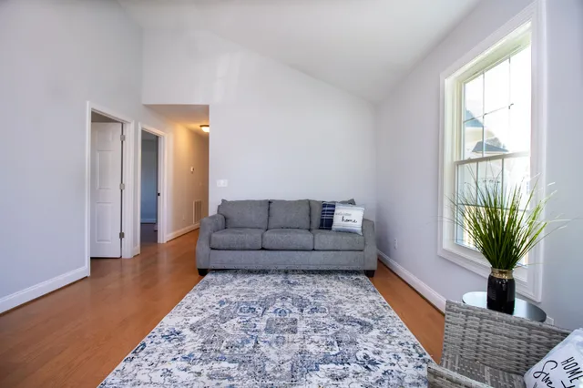 a living room with furniture and a potted plant