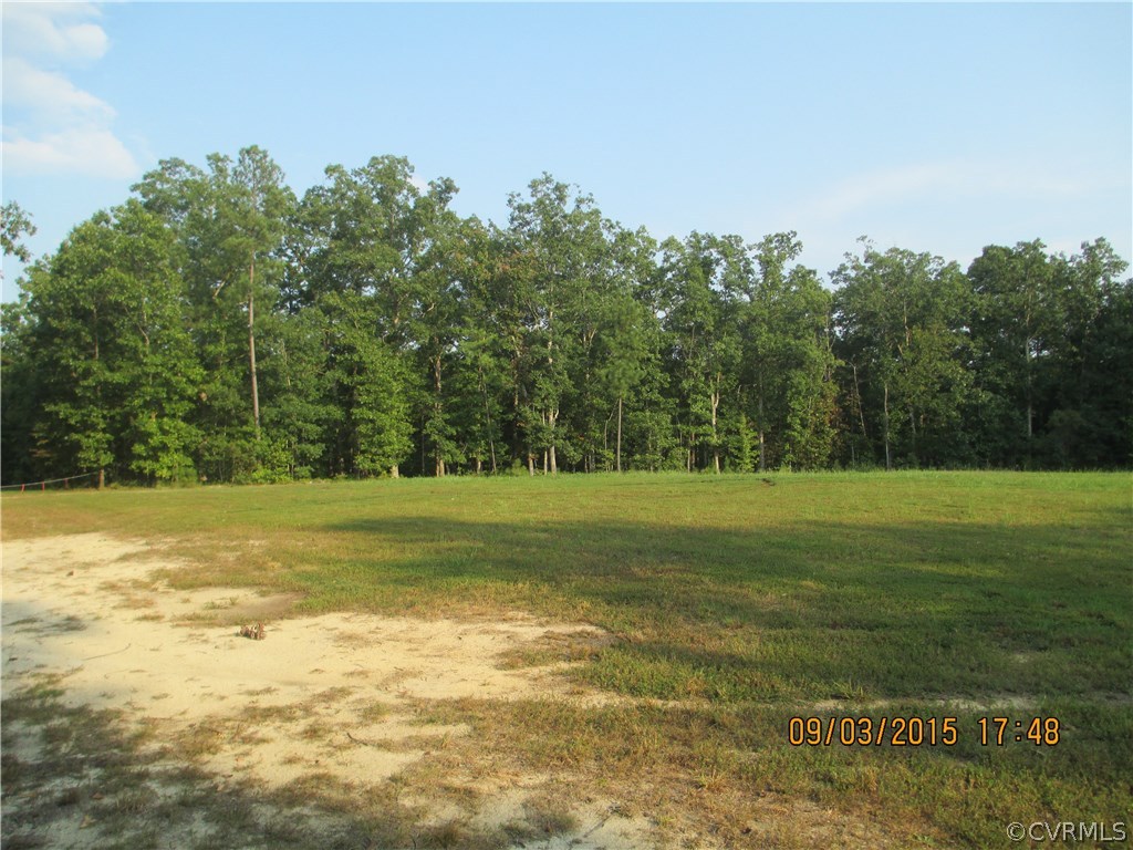 13150 2nd Branch Road Chesterfield, VA 23838 - Photo 3 of 6 a view of a field with trees