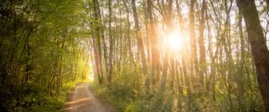 $357,009 | 2011 Frst Strm Way, Conroe, TX 77304