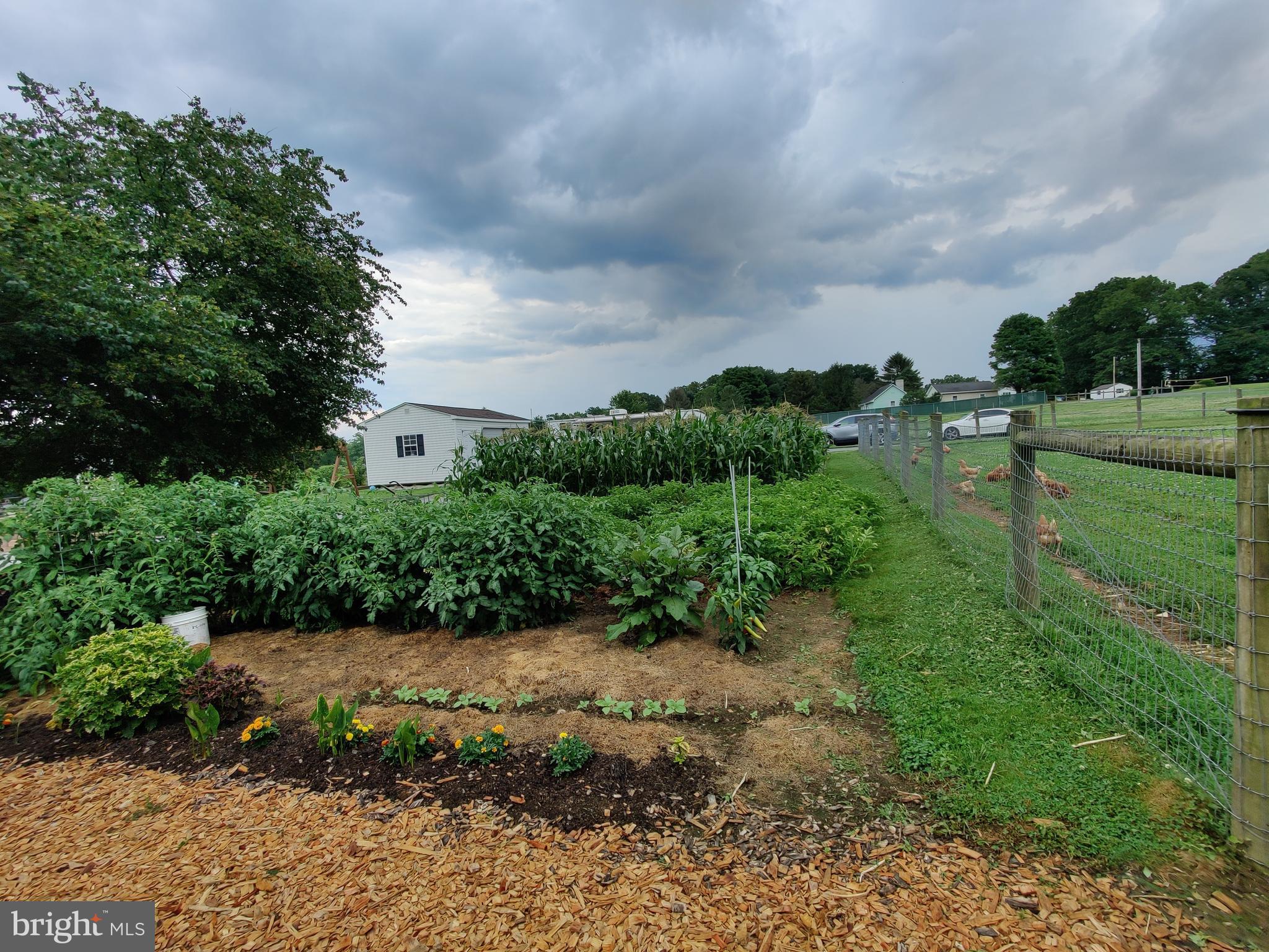 1669 Mine Road Paradise, PA 17562 - Photo 54 of 68