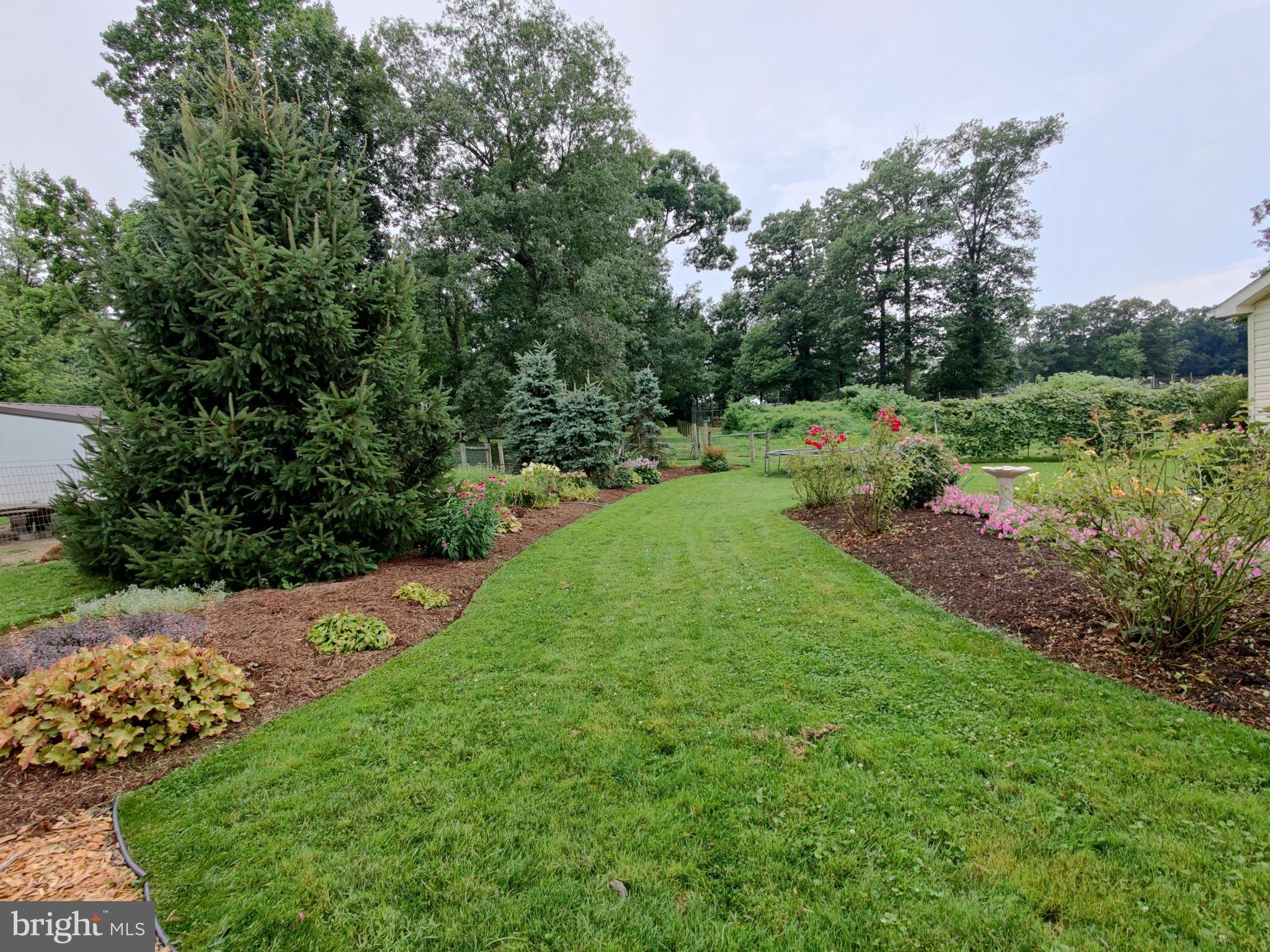 1669 Mine Road Paradise, PA 17562 - Photo 55 of 68