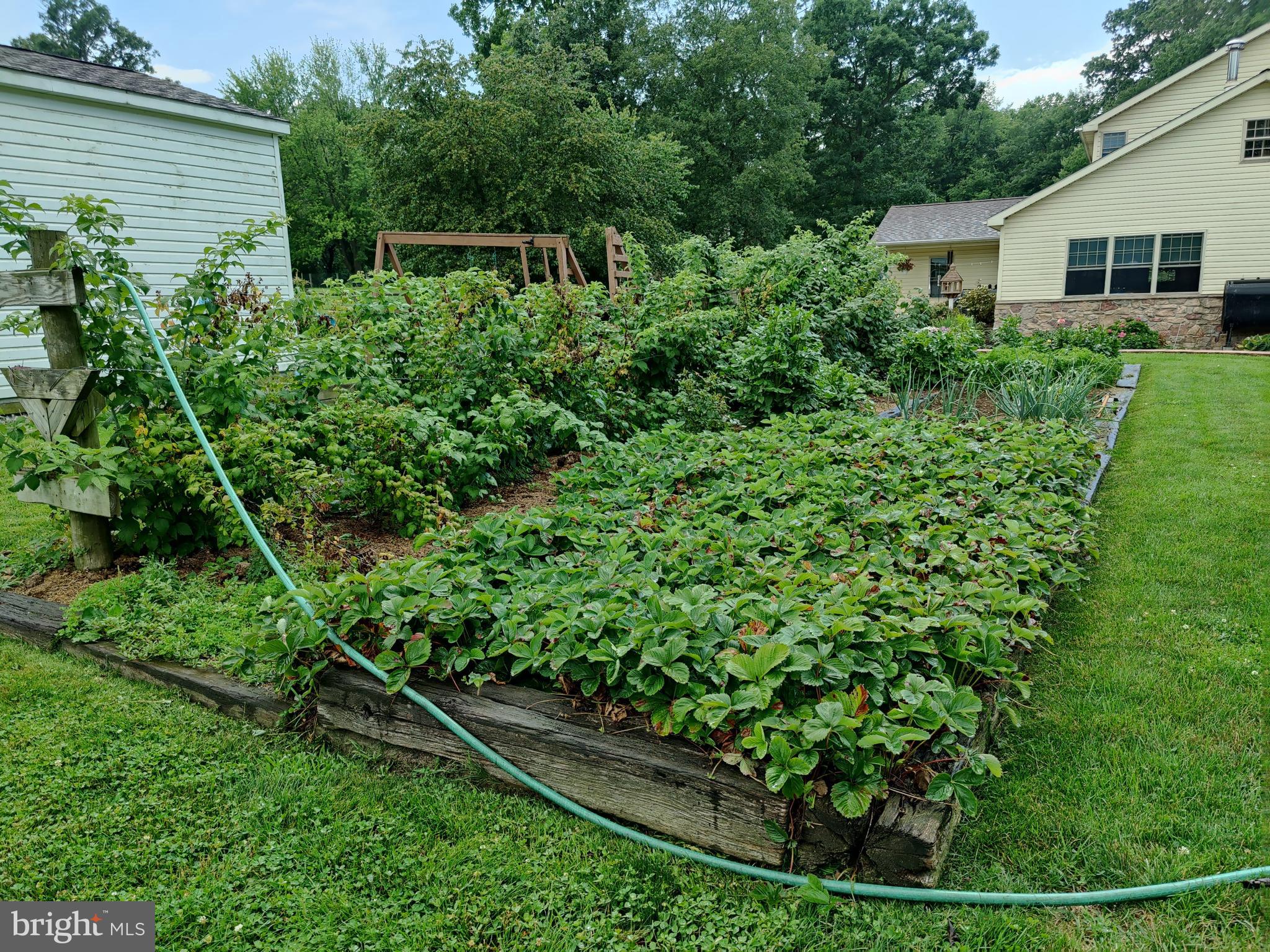 1669 Mine Road Paradise, PA 17562 - Photo 67 of 68