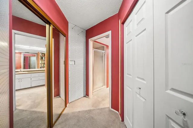 a view of a hallway with closet and mirror