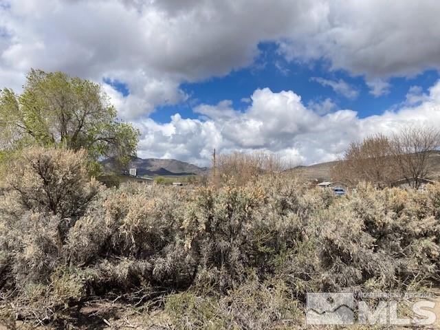 Mcclellan Ave Spring Creek, Unit 6 Spring Creek, NV 89815 - Photo 1 of 1 Photo 1