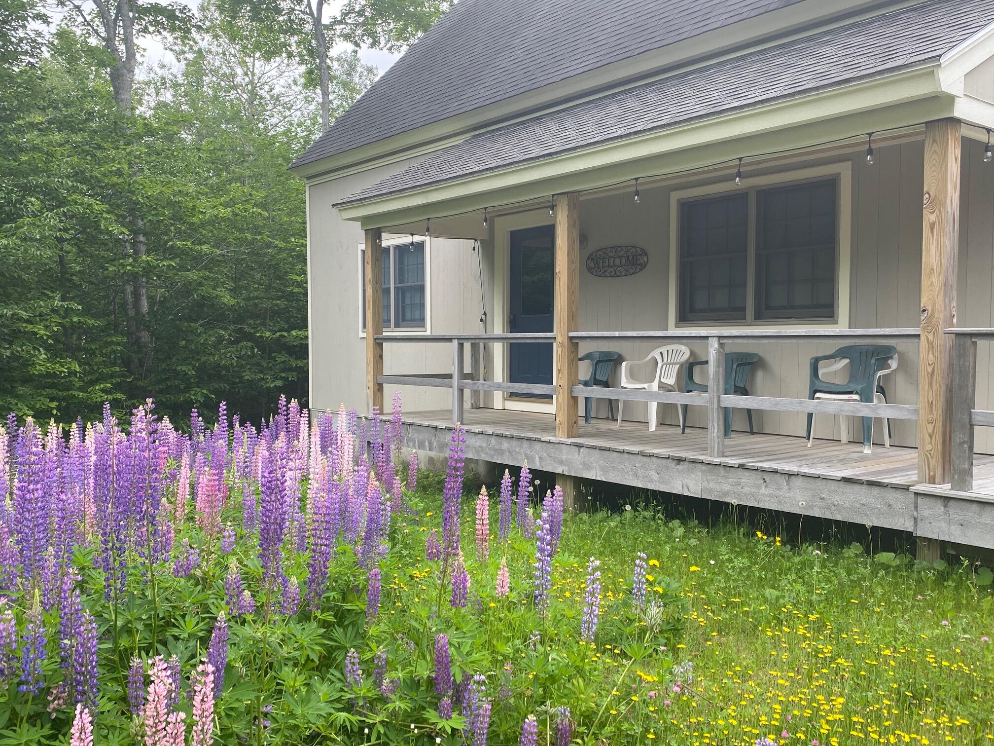 37 Davis Ridge Road Greenville Junction, ME 04442 - Photo 12 of 61 IMG_8228