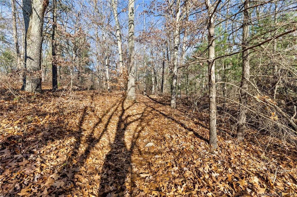 0 Chappell Street Chaplin, CT 06235 - Photo 1 of 1