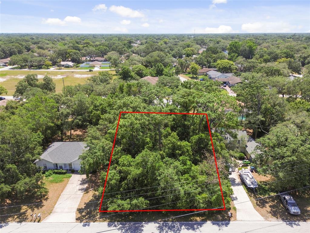a view of a city with lush green forest