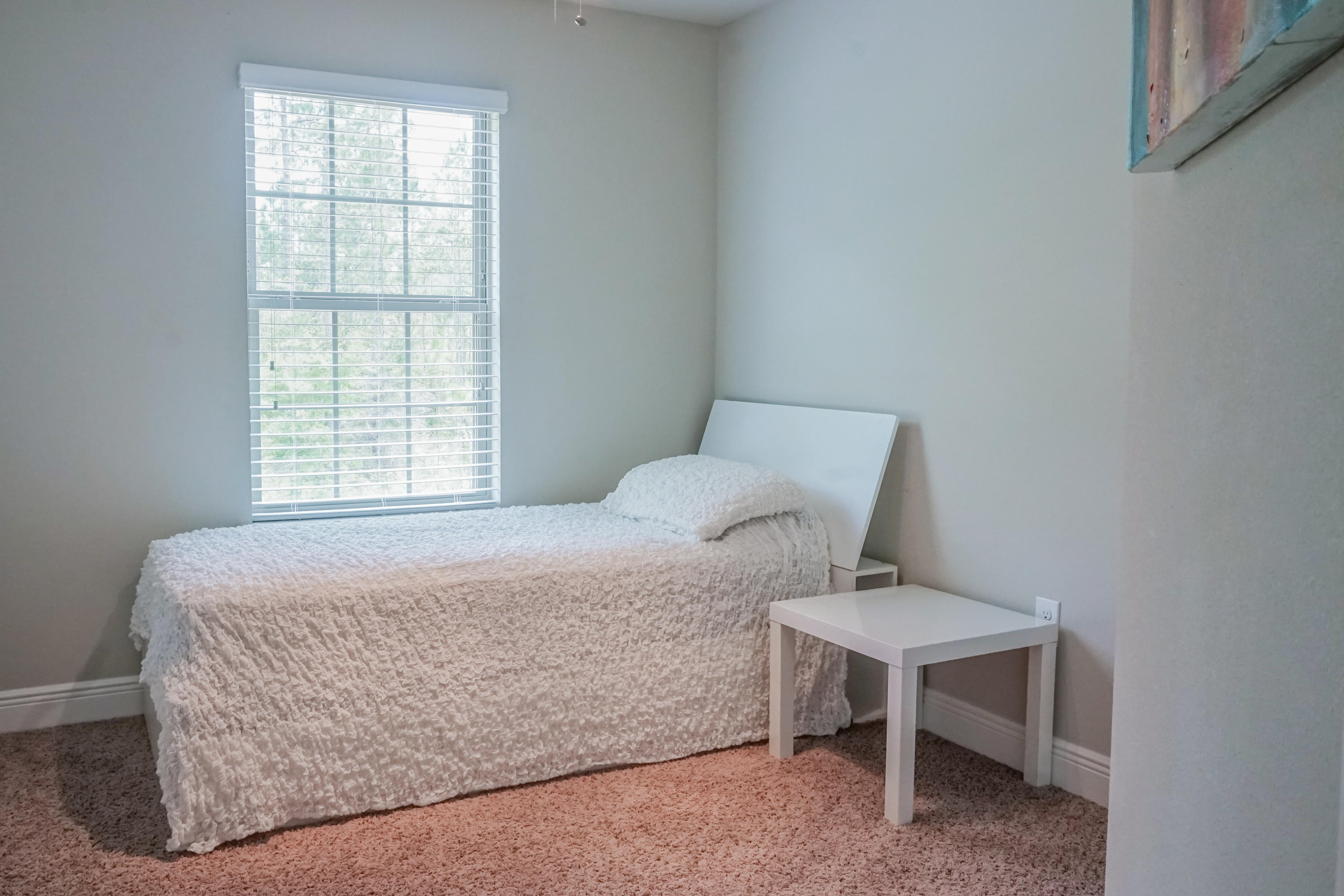 308 Cox Road Santa Rosa Beach, FL 32459 - Photo 17 of 26 Gallery Image 17