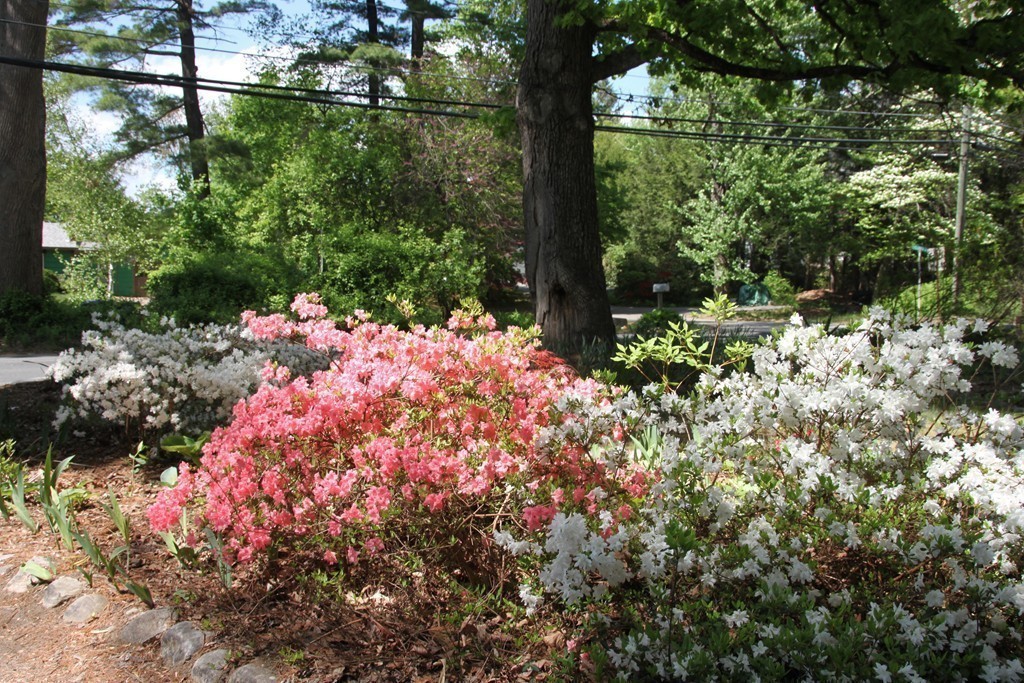 375 Pelham Road Amherst, MA 01002 - Photo 17 of 24