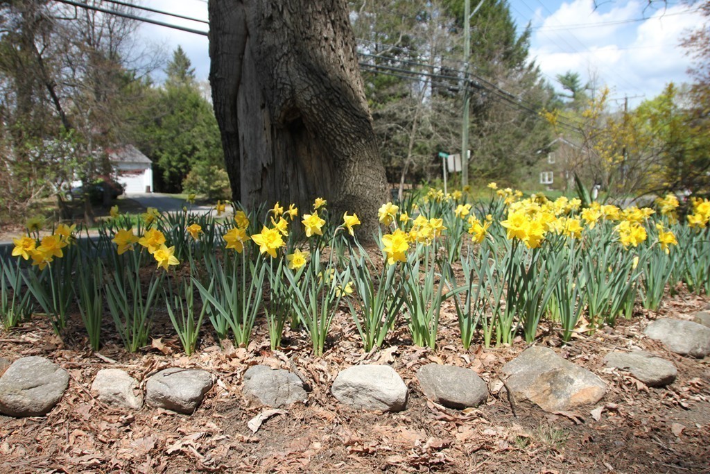 375 Pelham Road Amherst, MA 01002 - Photo 20 of 24