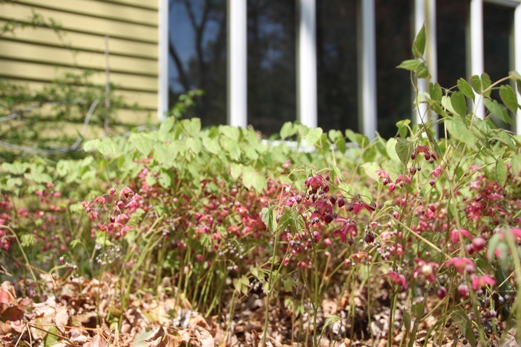 375 Pelham Road Amherst, MA 01002 - Photo 21 of 24