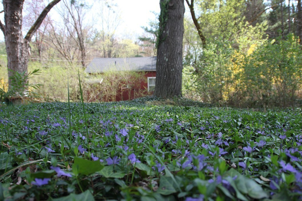 375 Pelham Road Amherst, MA 01002 - Photo 22 of 24