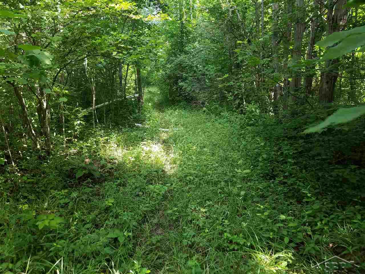 5520 Rossman Road Kingston, MI 48741 - Photo 54 of 71 Gallery Image 54
