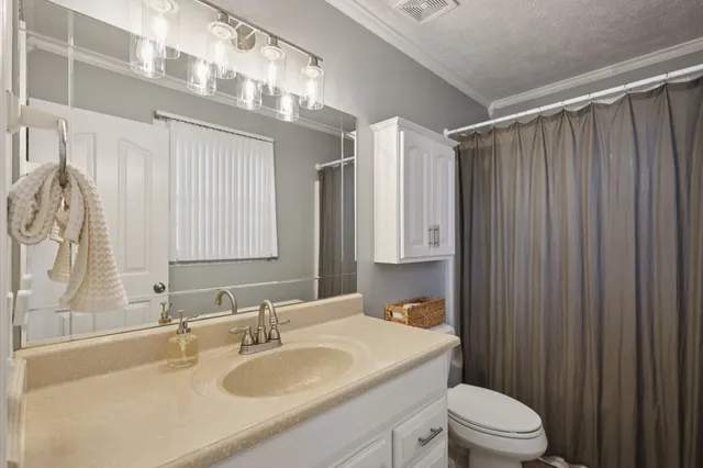 a bathroom with a sink a toilet a mirror and shower curtain