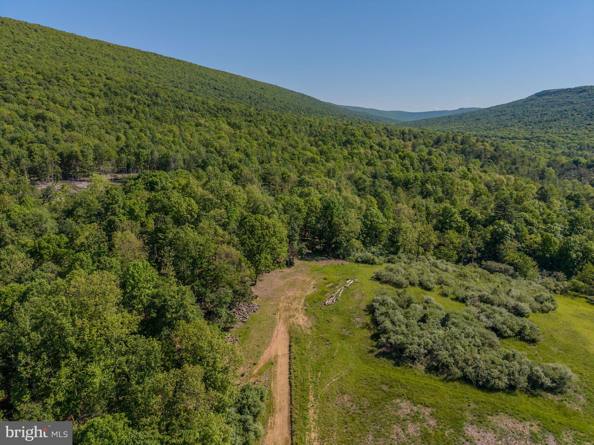 4503 Scotch Valley Road Hollidaysburg, PA 16648 - Photo 18 of 85