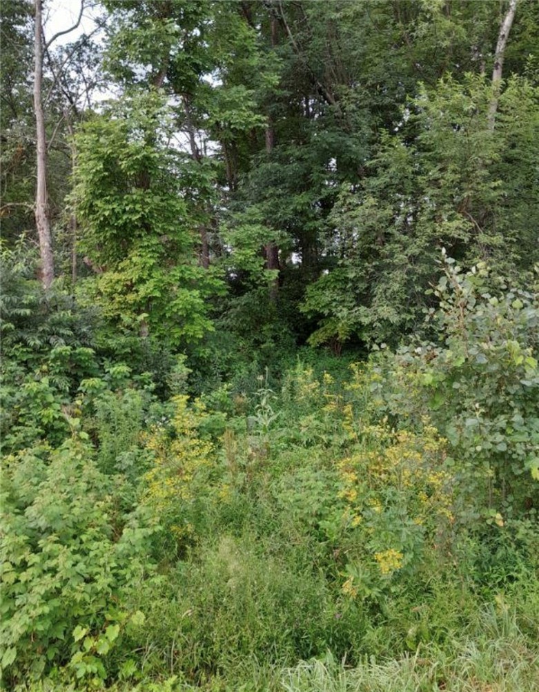 0 Stauber Road Groton, NY 13073 - Photo 10 of 13