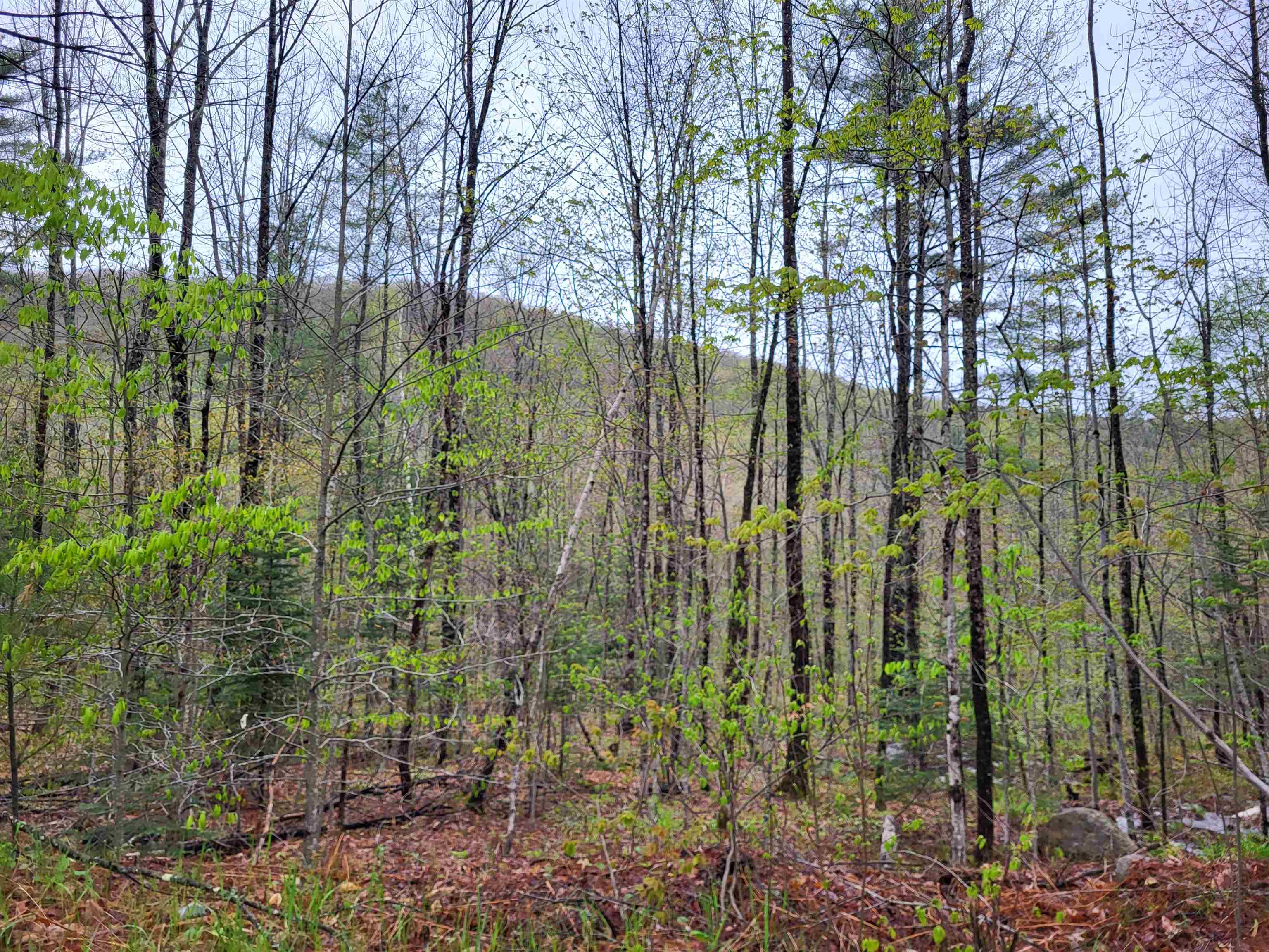 490 River Road Dorchester, NH 03266 - Photo 11 of 24