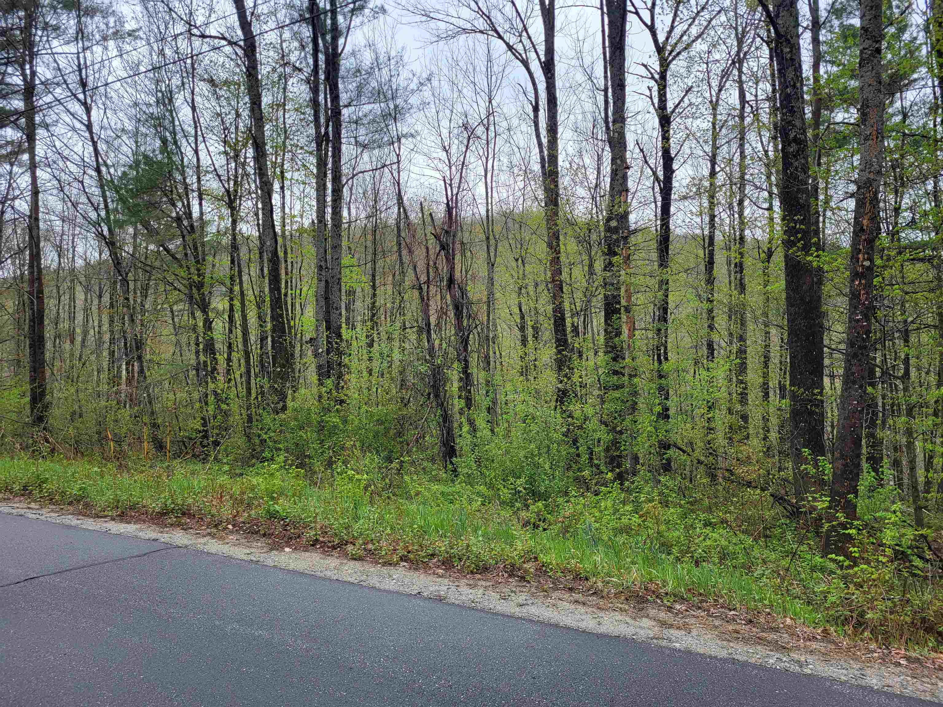 490 River Road Dorchester, NH 03266 - Photo 13 of 24