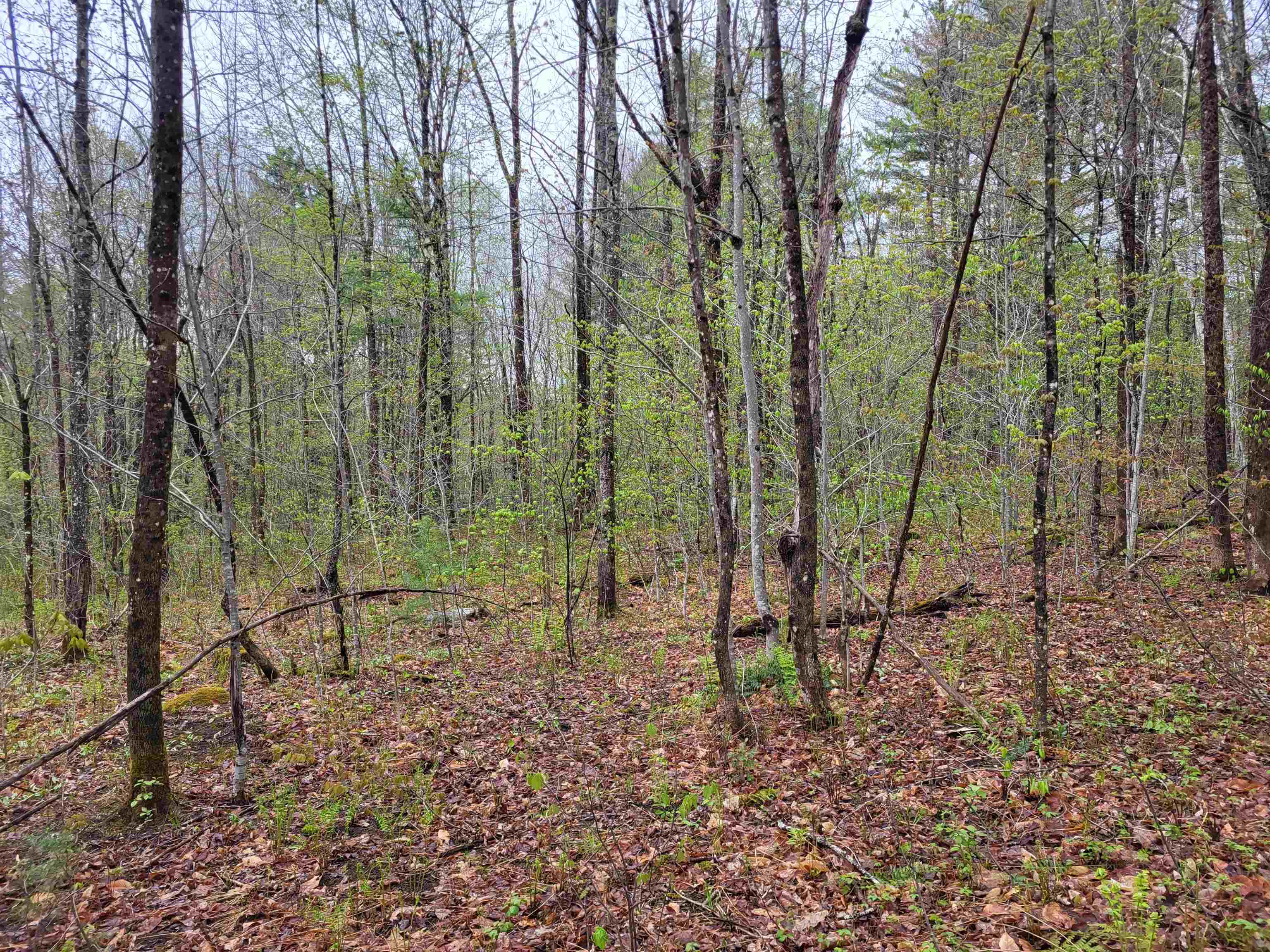 490 River Road Dorchester, NH 03266 - Photo 15 of 24