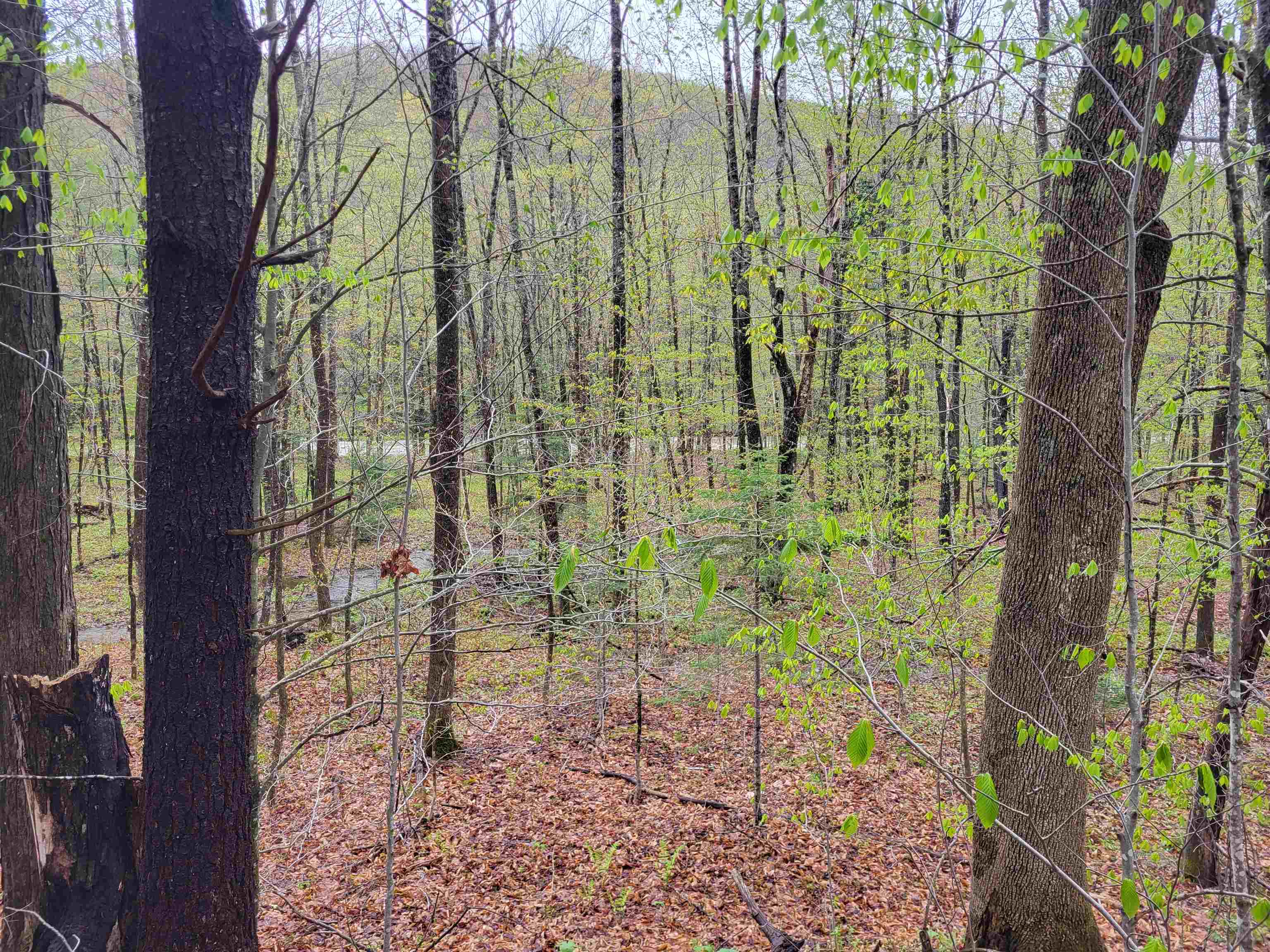 490 River Road Dorchester, NH 03266 - Photo 17 of 24