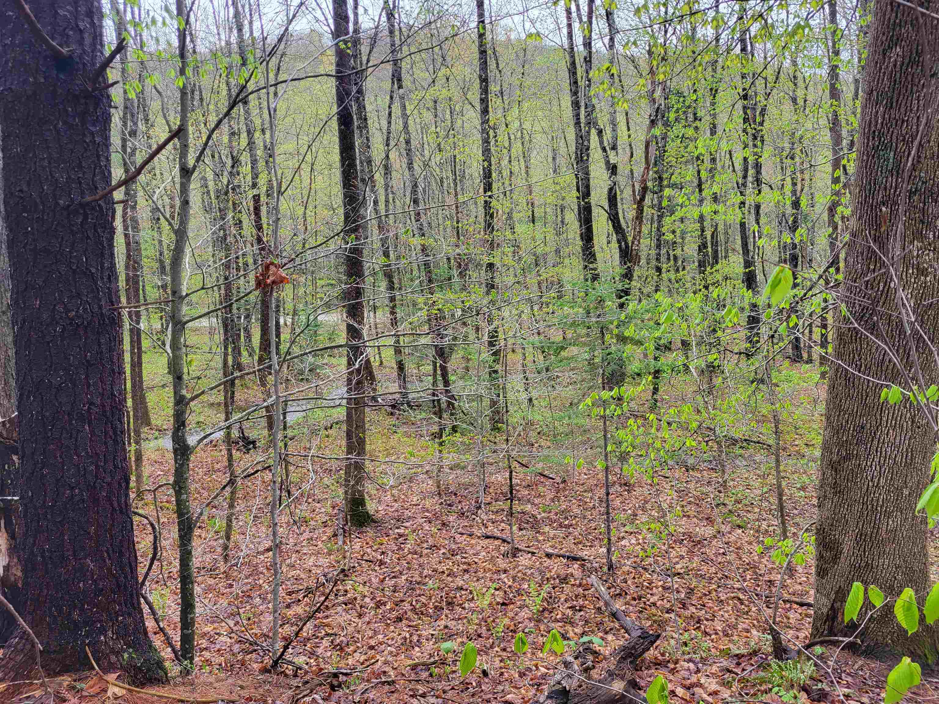 490 River Road Dorchester, NH 03266 - Photo 18 of 24