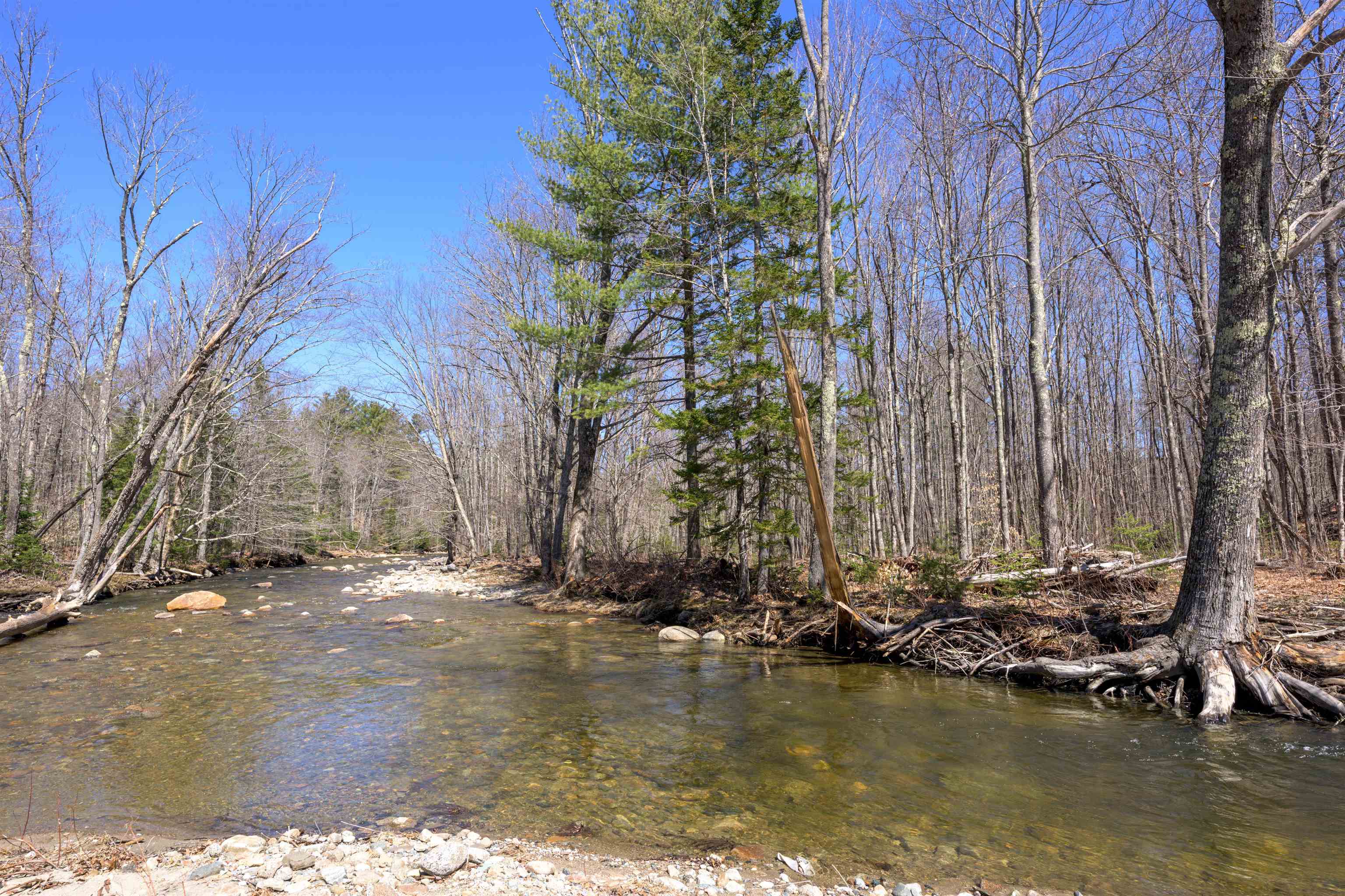 490 River Road Dorchester, NH 03266 - Photo 9 of 24