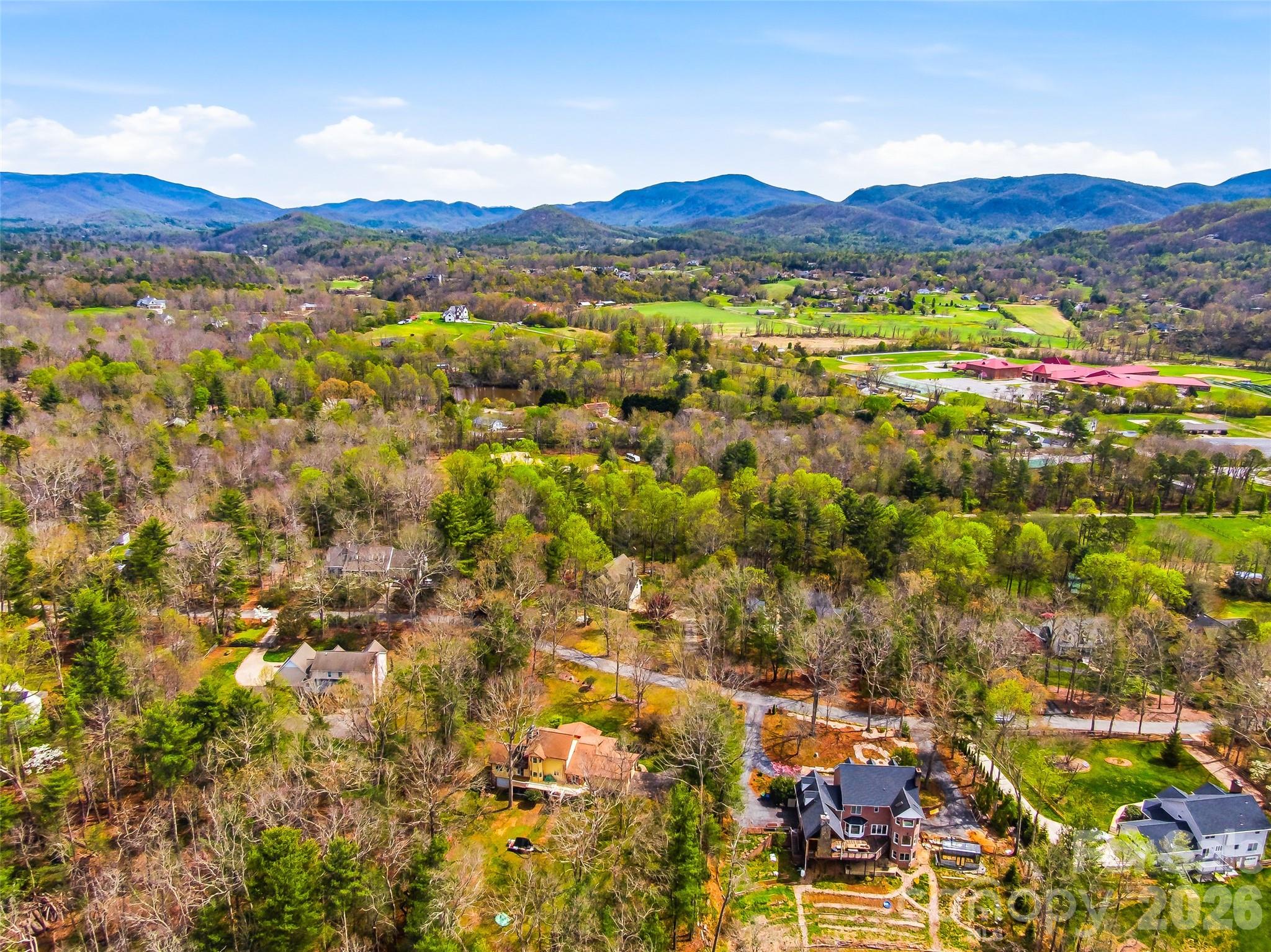 32 Franklin Farm Road Fletcher, NC 28732 - Photo 4 of 48