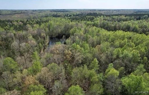 2842 Rash Maddux Road Blackstone, VA 23824 - Photo 14 of 29 an aerial view of forest