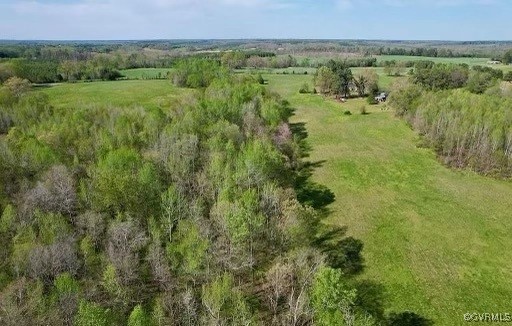 2842 Rash Maddux Road Blackstone, VA 23824 - Photo 15 of 29 a view of a lush green forest with lots of trees