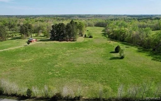 2842 Rash Maddux Road Blackstone, VA 23824 - Photo 23 of 29 a view of outdoor space with garden
