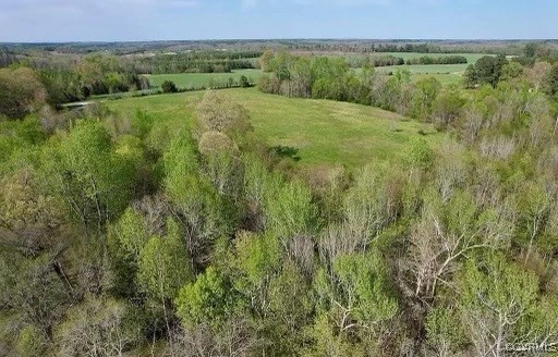 2842 Rash Maddux Road Blackstone, VA 23824 - Photo 27 of 29 a view of a lush green field