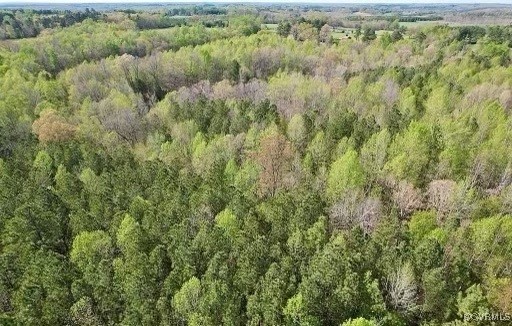 2842 Rash Maddux Road Blackstone, VA 23824 - Photo 28 of 29 a view of a forest with a street