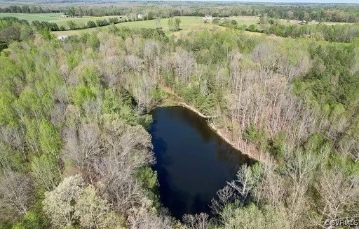 2842 Rash Maddux Road Blackstone, VA 23824 - Photo 5 of 29 a view of a yard