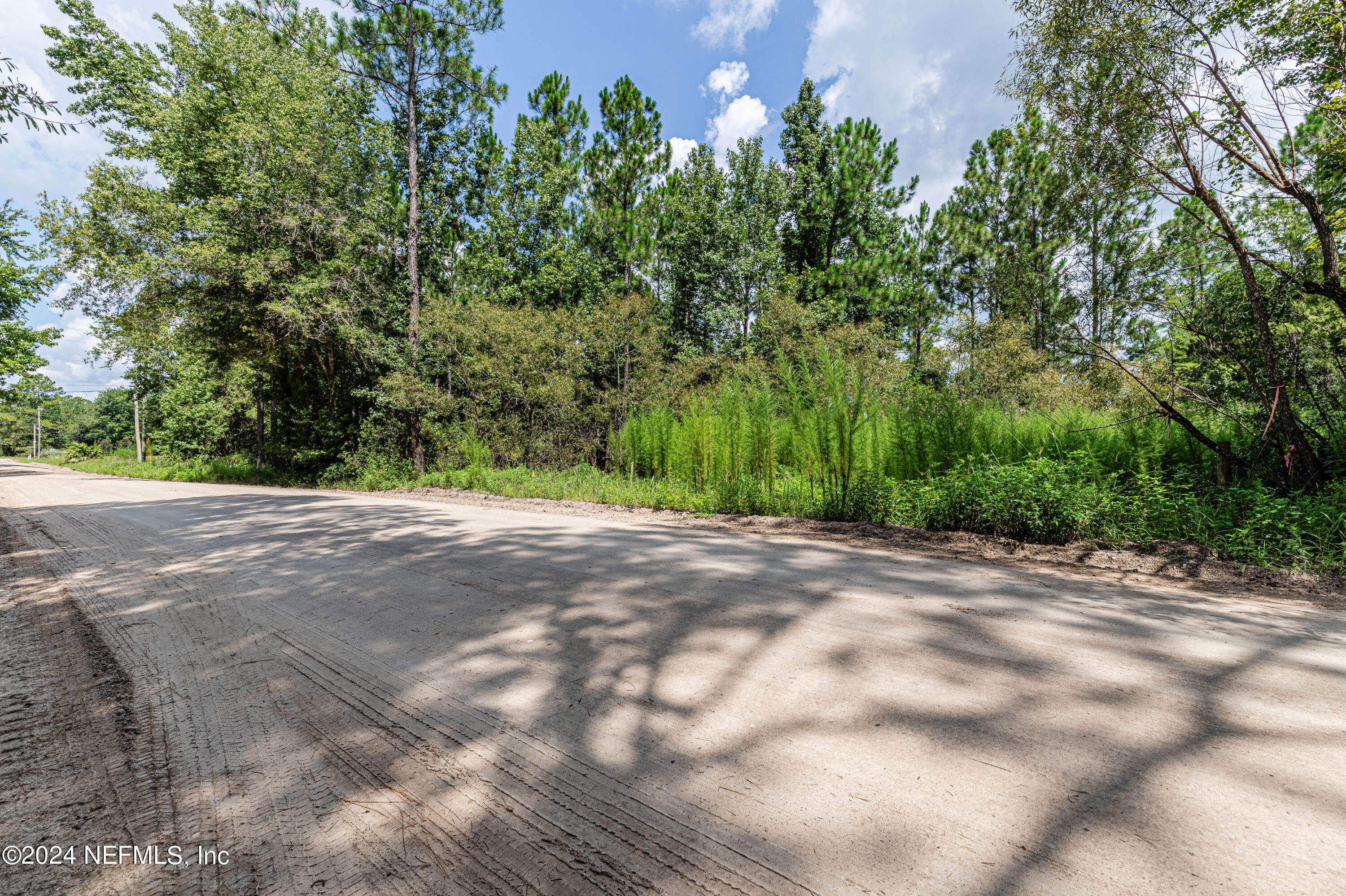 5570 Long Branch Road Jacksonville, FL 32234 - Photo 2 of 8 a view of a yard with a tree