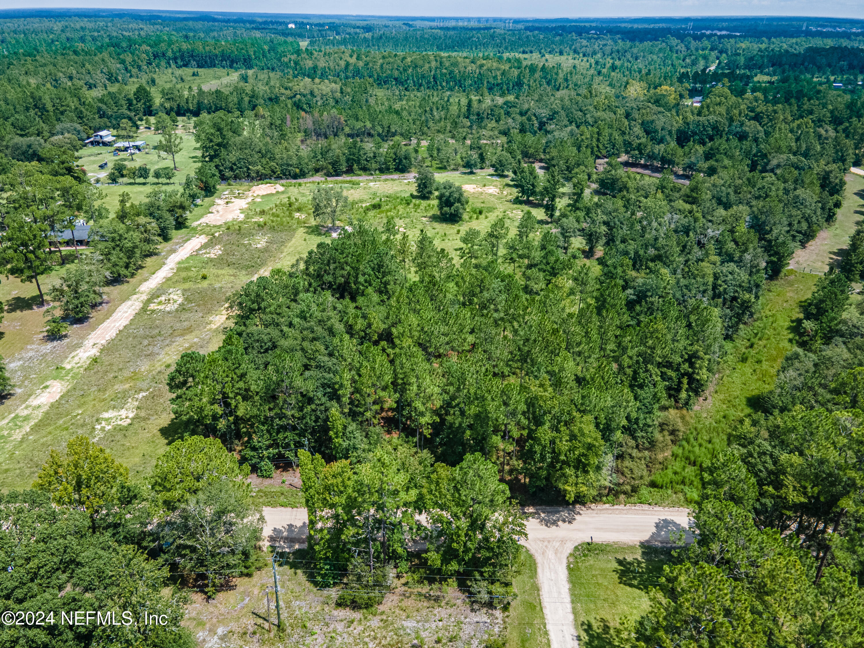 5570 Long Branch Road Jacksonville, FL 32234 - Photo 4 of 8 a view of a forest with a street