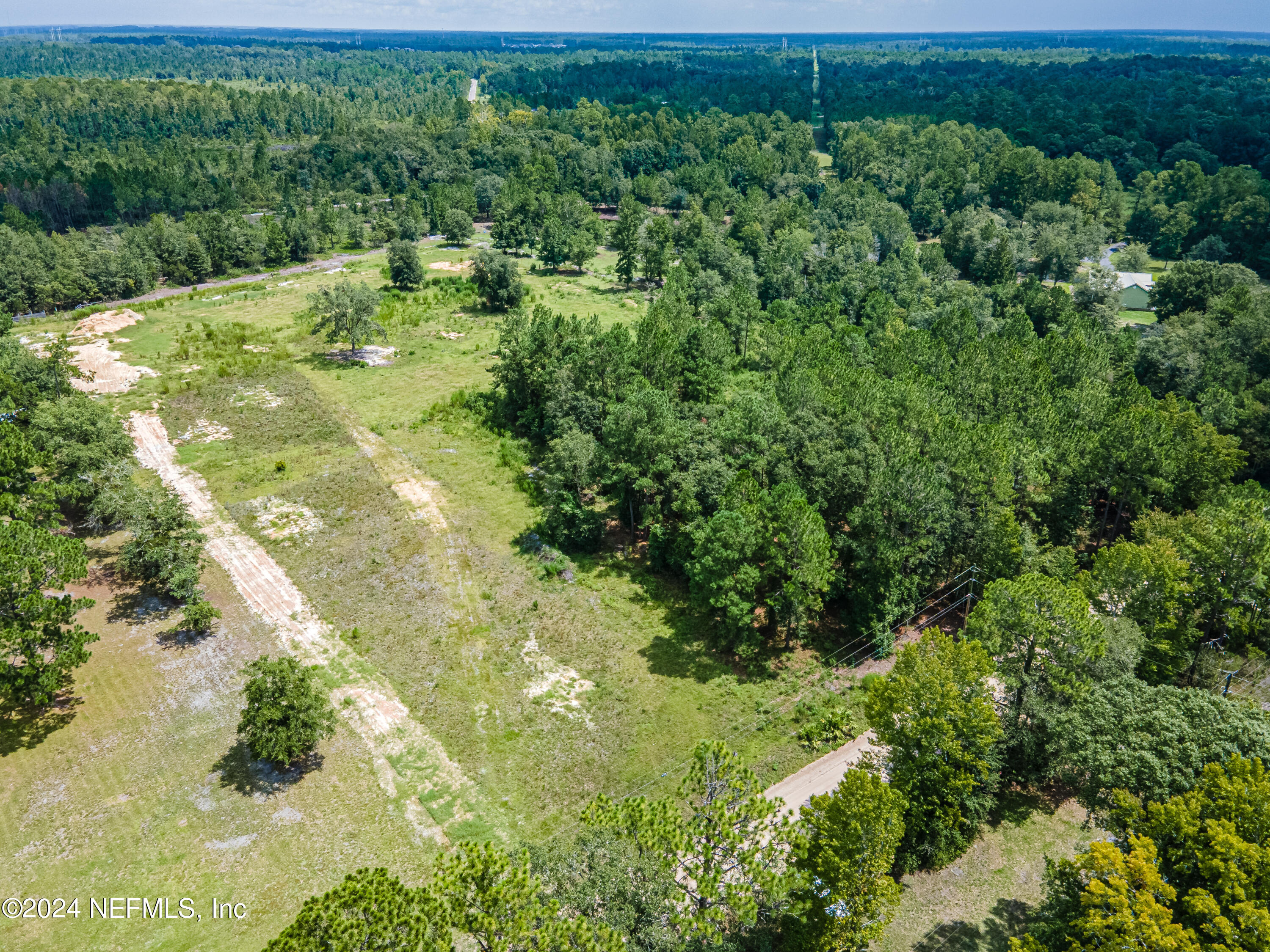 5570 Long Branch Road Jacksonville, FL 32234 - Photo 5 of 8 a view of a yard with a plants and large trees