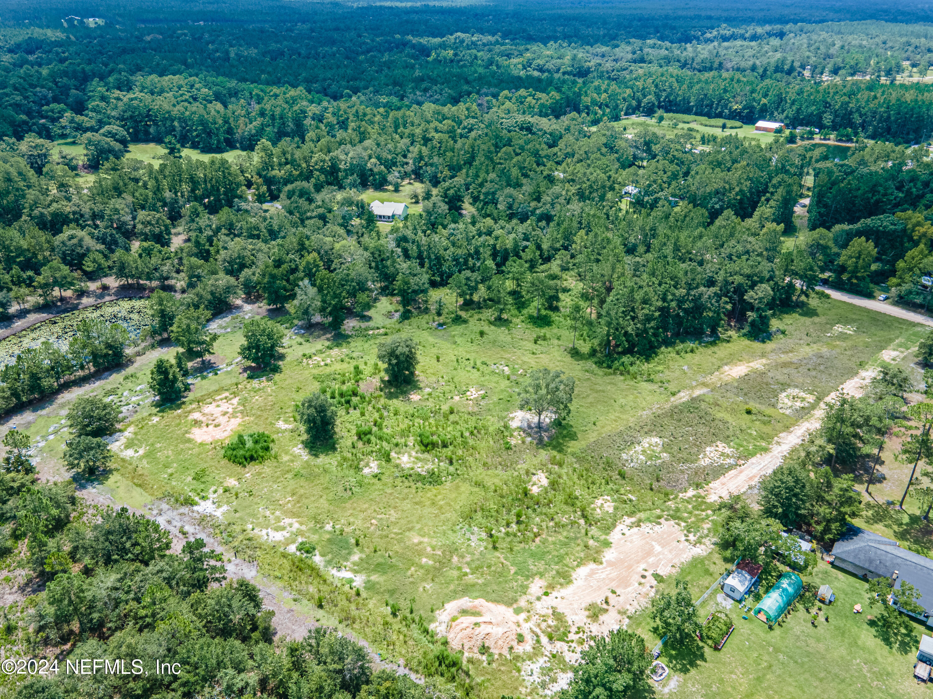 5570 Long Branch Road Jacksonville, FL 32234 - Photo 7 of 8 a view of a lush green forest with lots of trees