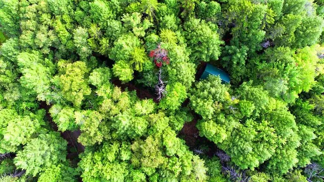 $139,500 | 643 Sandy Beach Road, Danforth, ME 04424