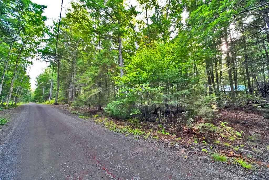 643 Sandy Beach Road Danforth, ME 04424 - Photo 40 of 48 cabin-in-the-woods-grand-la