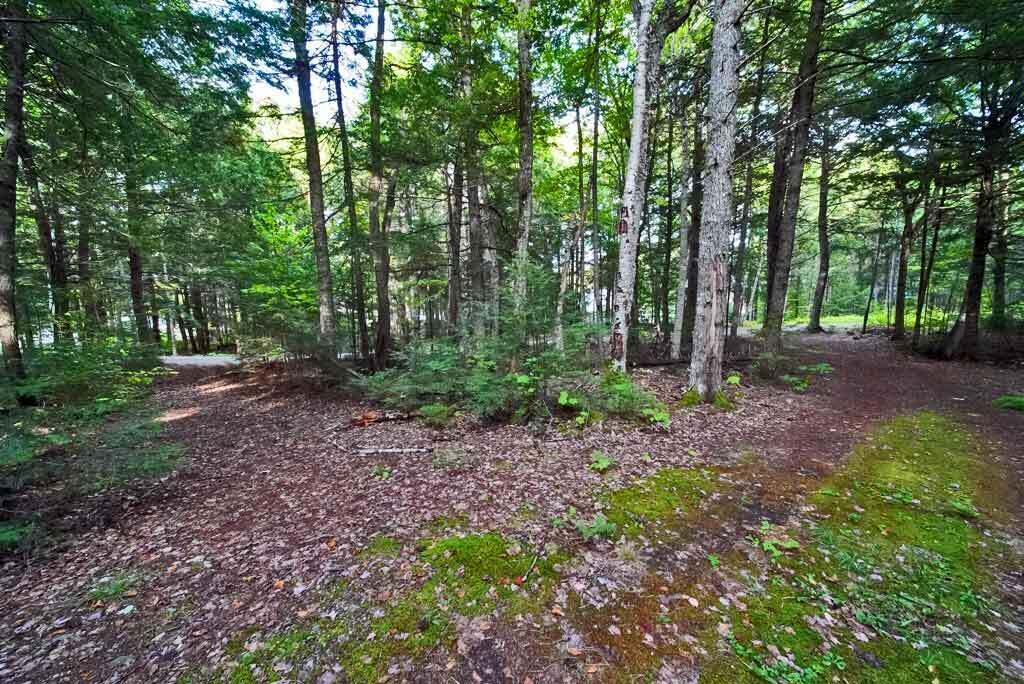 643 Sandy Beach Road Danforth, ME 04424 - Photo 41 of 48 circular-driveway-grand-lak