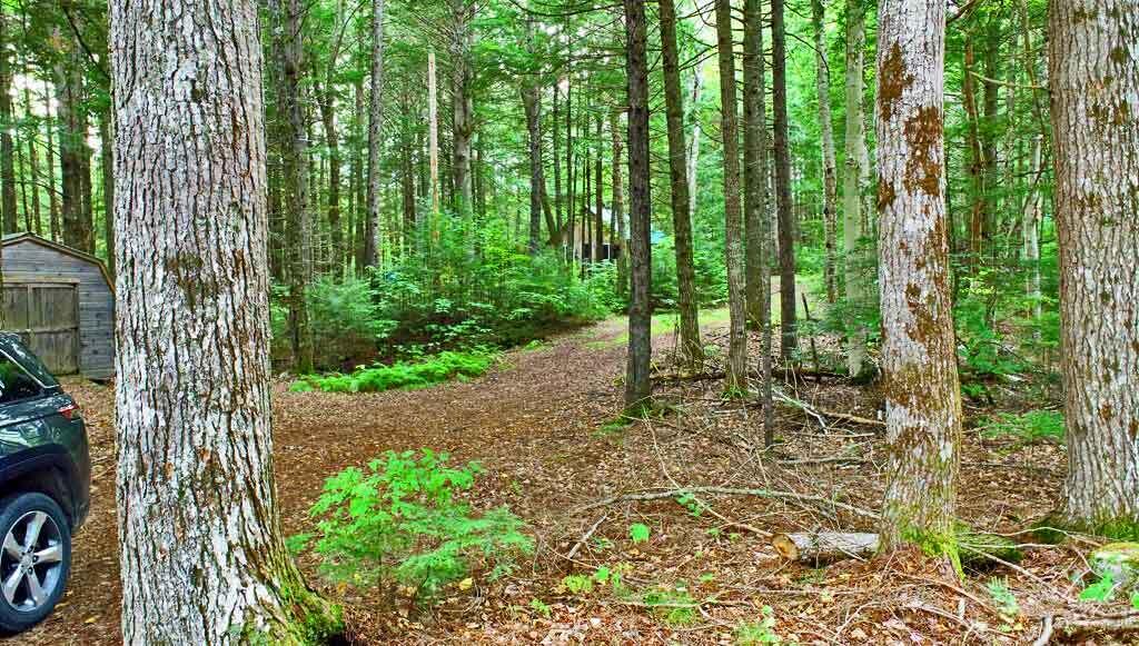 643 Sandy Beach Road Danforth, ME 04424 - Photo 44 of 48 lake-east-grand-camp