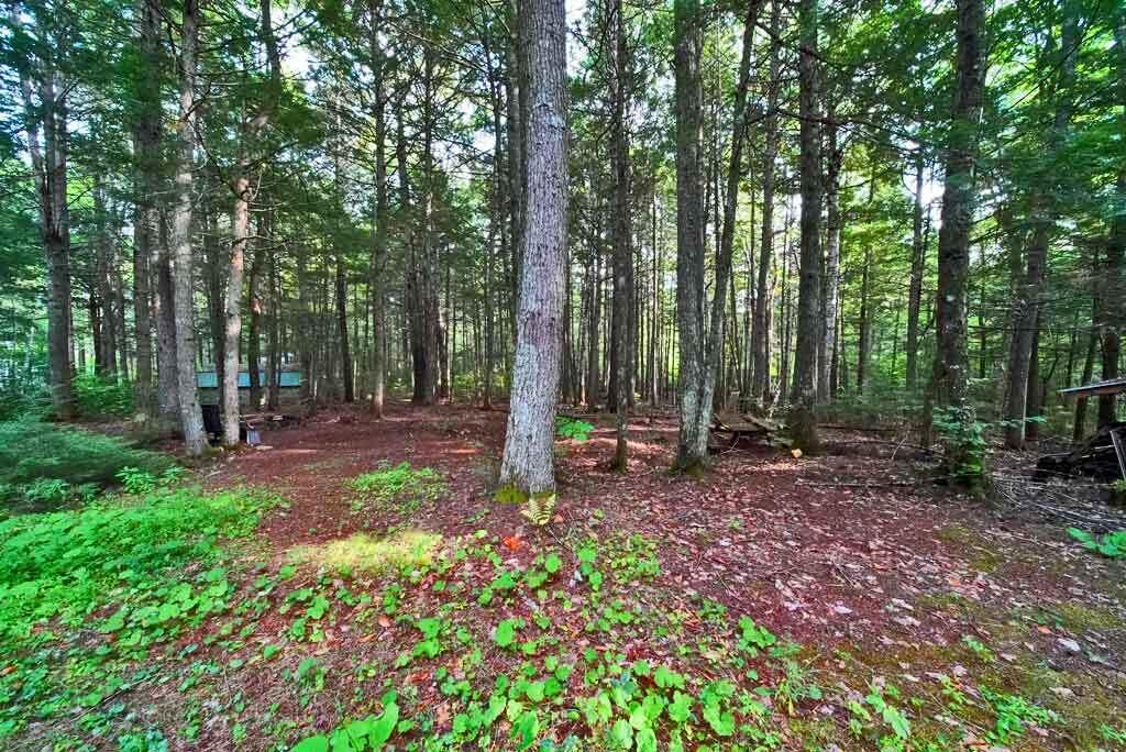 643 Sandy Beach Road Danforth, ME 04424 - Photo 45 of 48 lake-property-east-grand-la