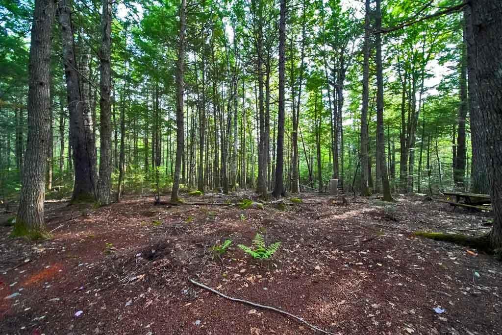 643 Sandy Beach Road Danforth, ME 04424 - Photo 46 of 48 maine-vacation-property-lan