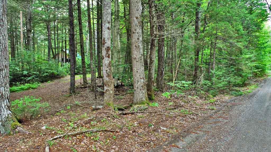 643 Sandy Beach Road Danforth, ME 04424 - Photo 5 of 48 643-sandy-beach-rd-danforth