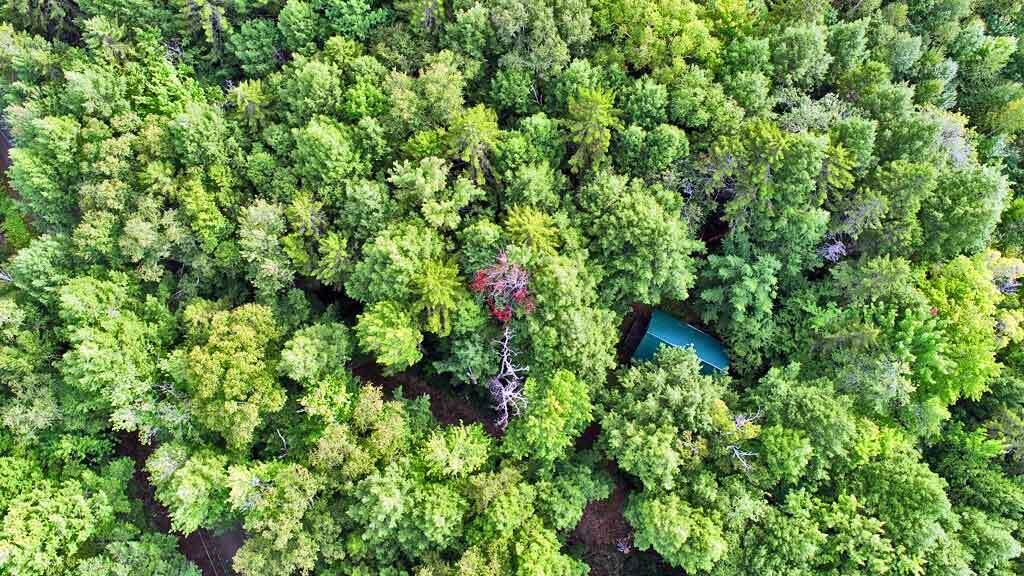 643 Sandy Beach Road Danforth, ME 04424 - Photo 6 of 48 643-sandy-beach-rd-lake-cam