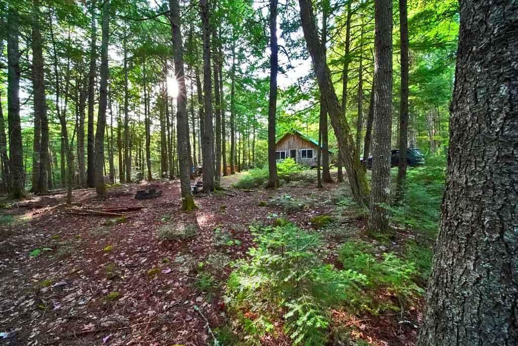 643 Sandy Beach Road Danforth, ME 04424 - Photo 9 of 48 wooded-lot-lake-camp
