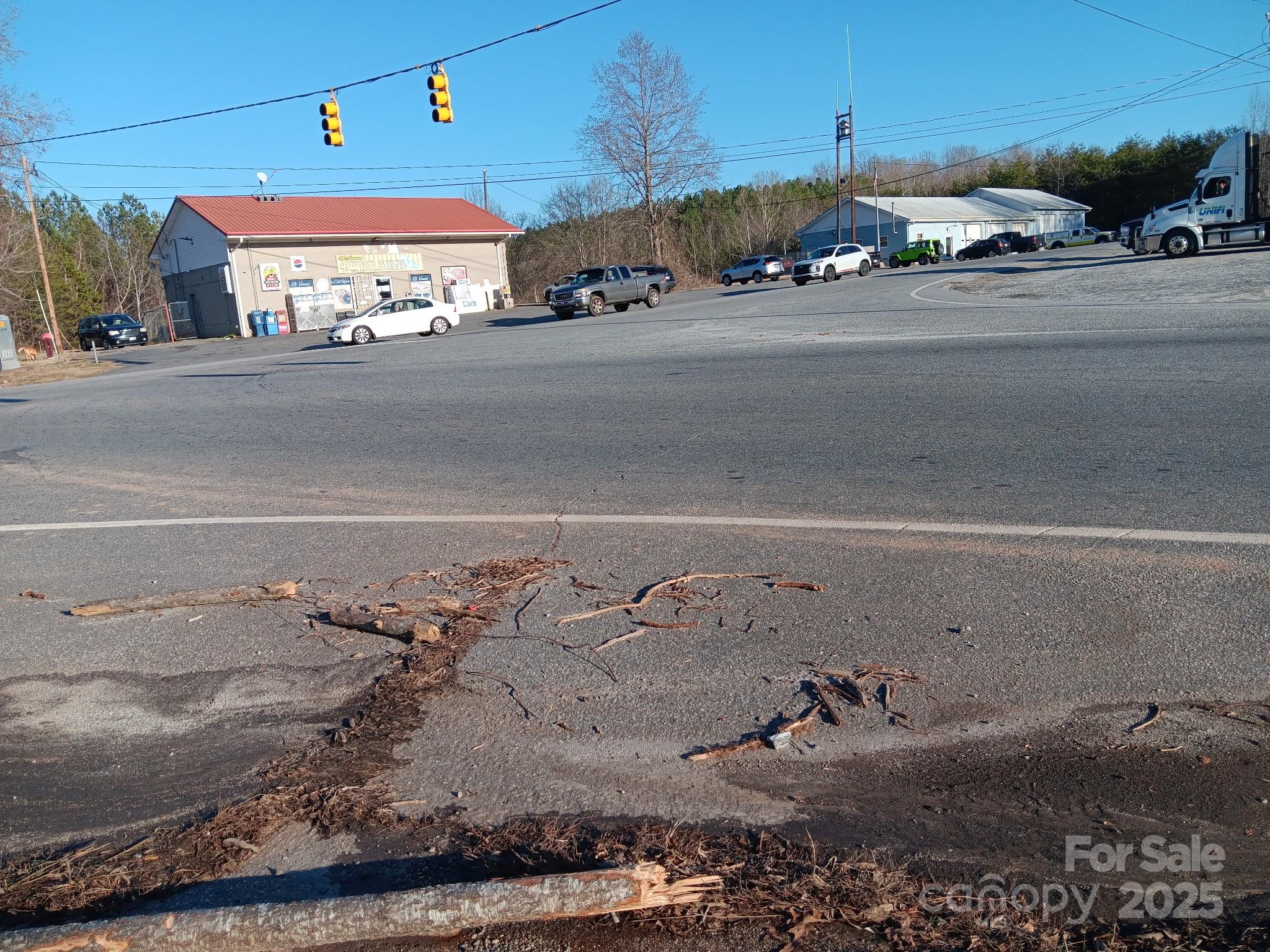 0 Us Highway Rutherfordton, NC 28139 - Photo 3 of 8
