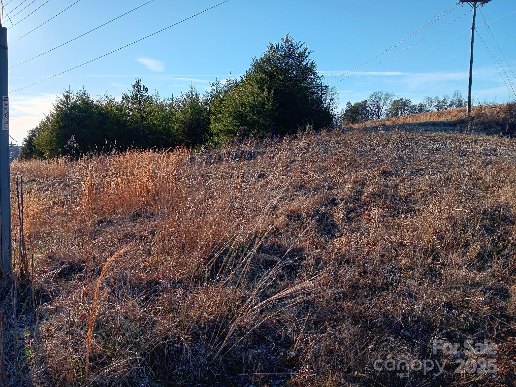 0 Us Highway Rutherfordton, NC 28139 - Photo 4 of 8