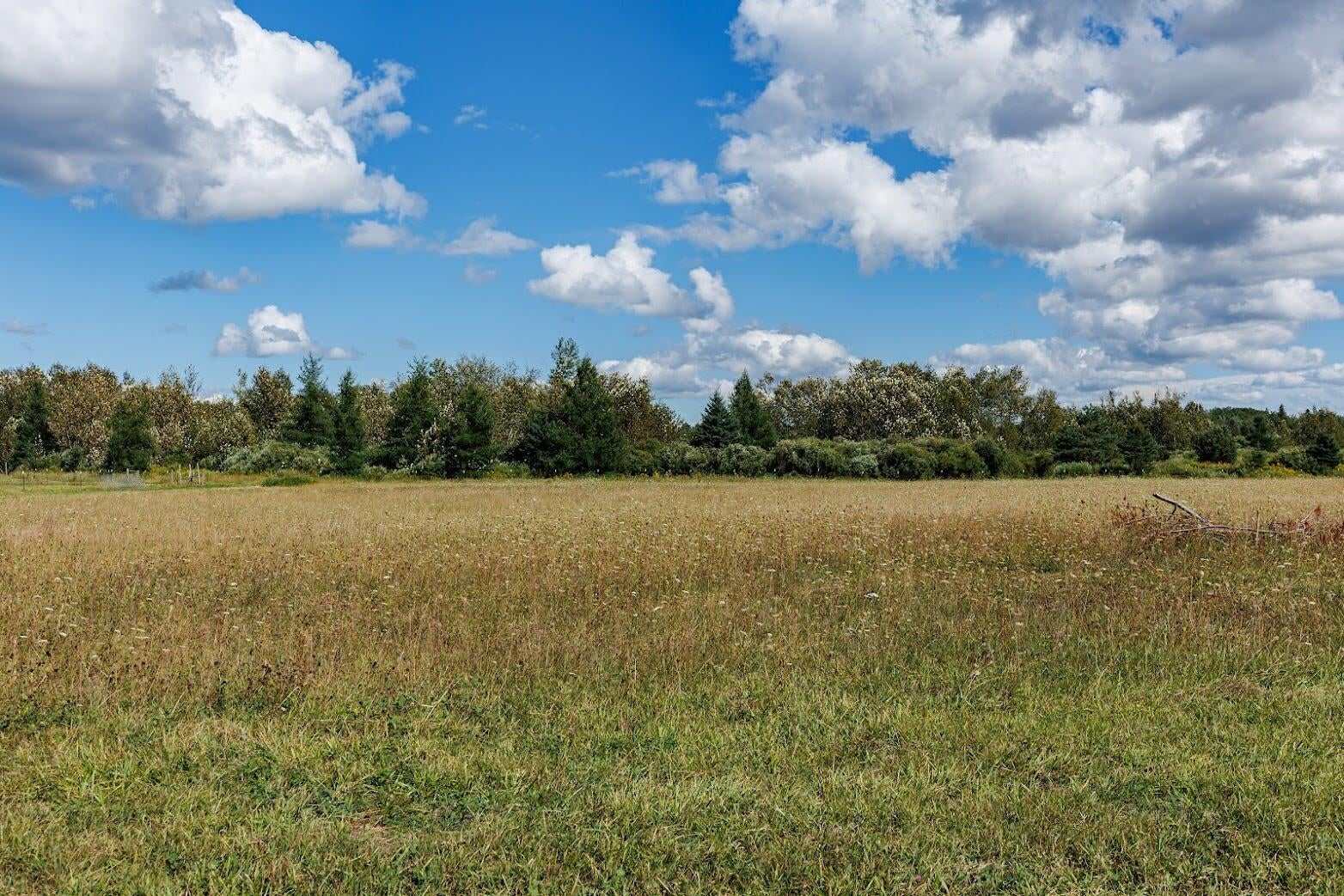 V/l 35-ac Trowbridge Road Wolverine, MI 49799 - Photo 12 of 17 35ACRE-6